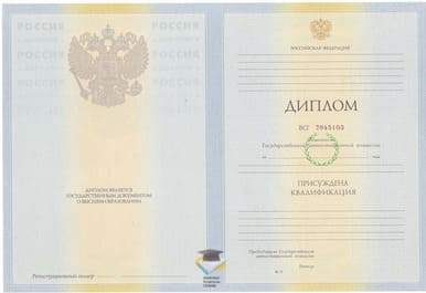 Диплом Калининградского филиала РЭУ 2010-2011 годов